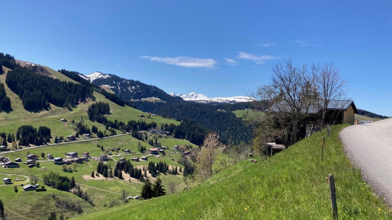 Demi Chalet Le Lachat Notre-Dame-de-Bellecombe Εξωτερικό φωτογραφία