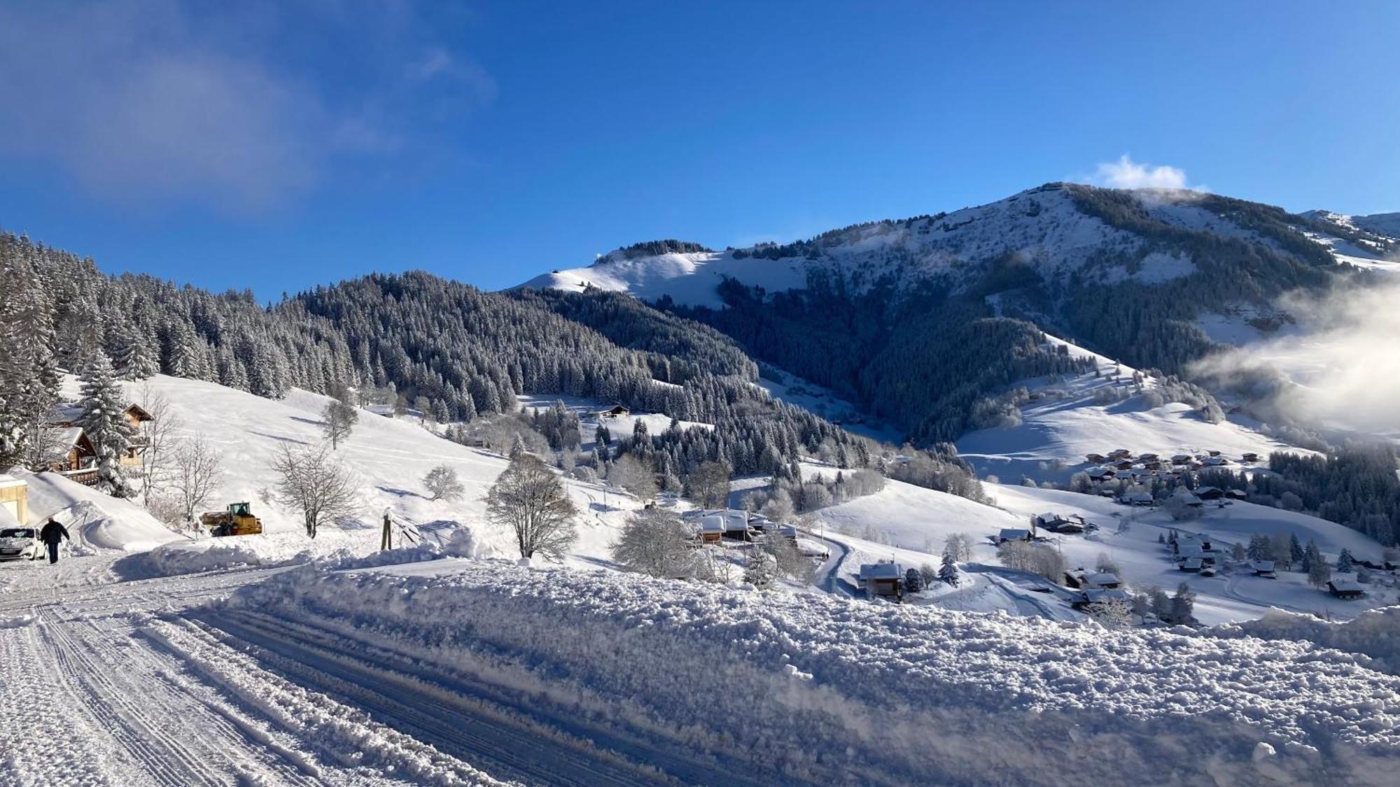 Demi Chalet Le Lachat Notre-Dame-de-Bellecombe Εξωτερικό φωτογραφία